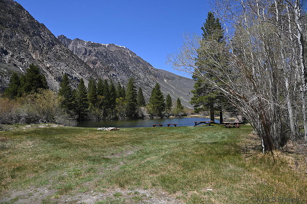 DSC 0686