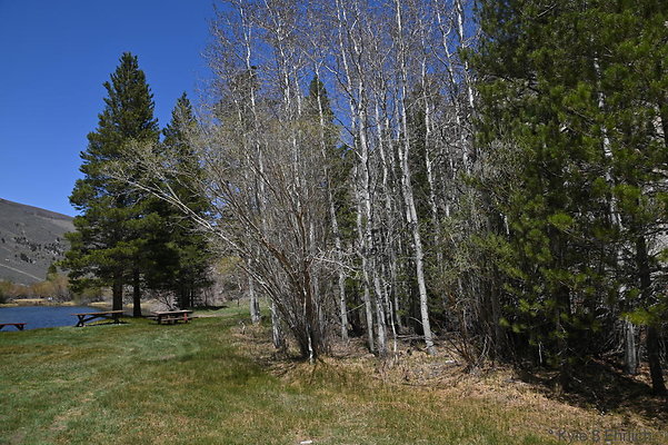 DSC 0693