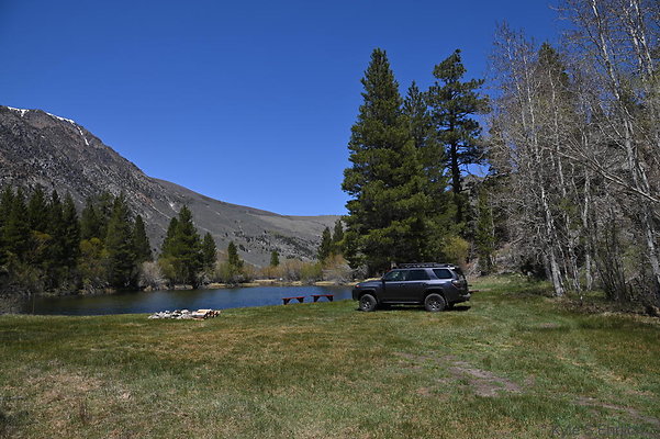 DSC 0534