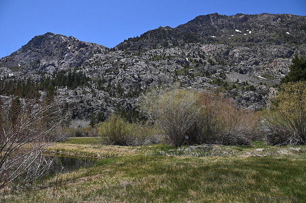 DSC 0572