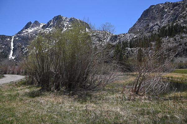 DSC 0571