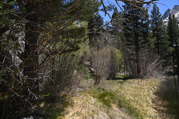 DSC 0638