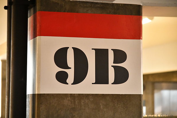 DSK 9188