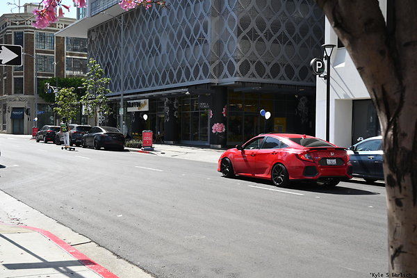 01 12th Flower to Hope A