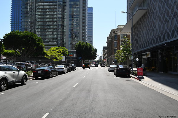 02 12th Flower to Hope B