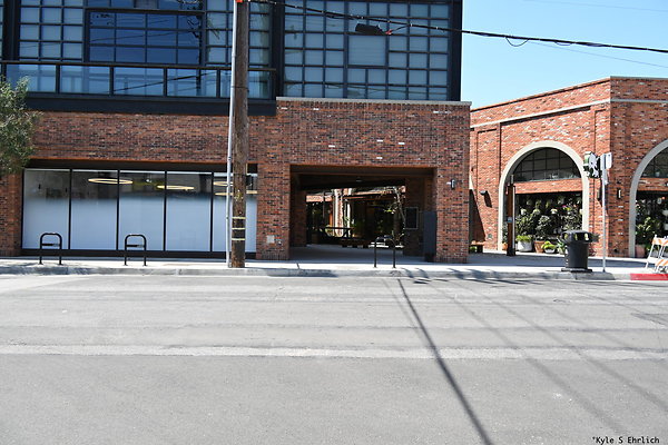 06 Mateo and Palmetto