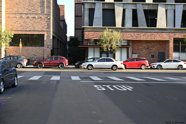 04 Molino And Palmetto B