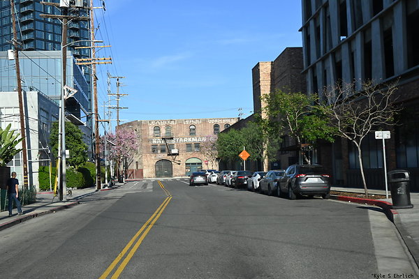 21 Palmetto Driving East