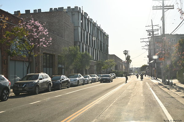 22 Palmetto Driving West