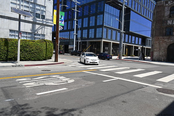 09 Palmetto and Mateo A