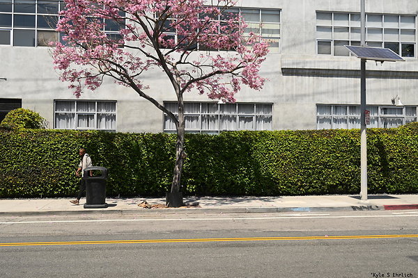 11 Palmetto and Mateo C