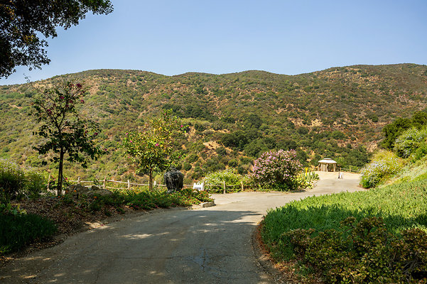 UNIVERSAL-D529-LA-138