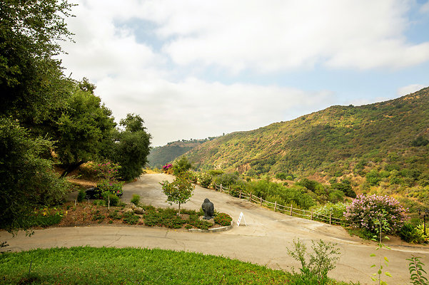 UNIVERSAL-D529-LA-137