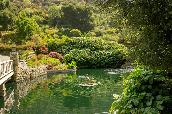 UNIVERSAL-D529-LA-203