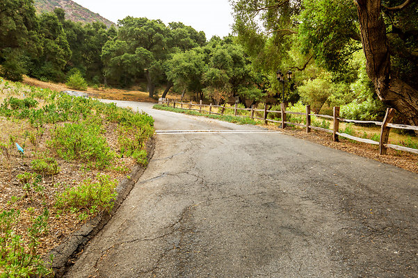 UNIVERSAL-D529-LA-68