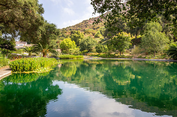 UNIVERSAL-D529-LA-187