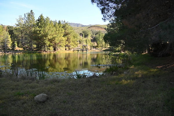 02 Pine Lake