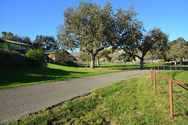 DSC 0532