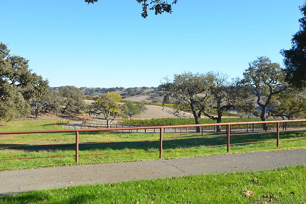 DSC 0507