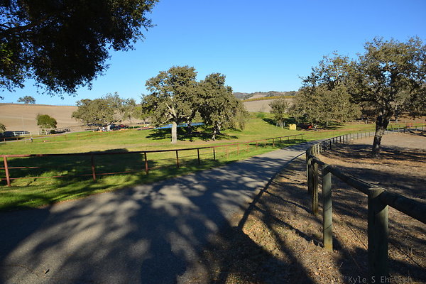 DSC 0520