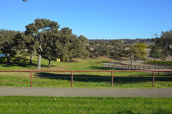 DSC 0514