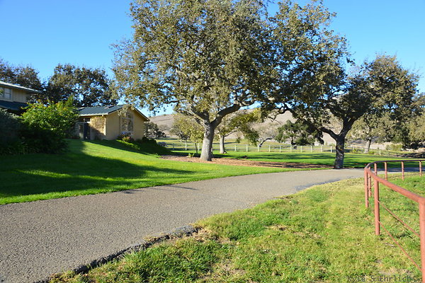 DSC 0536