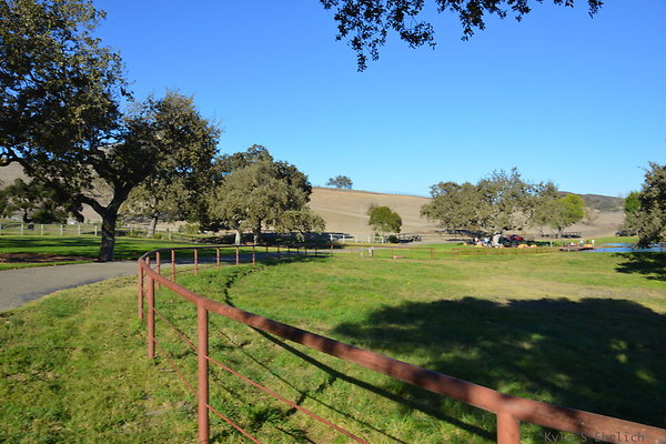 DSC 0537