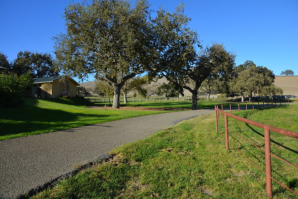 DSC 0539