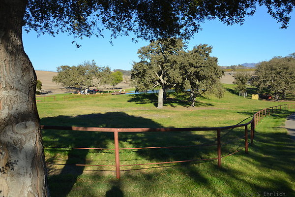 DSC 0529
