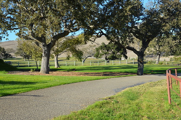 DSC 0540