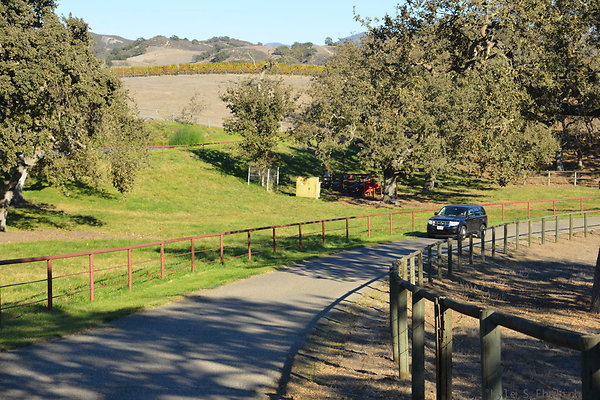 DSC 0519