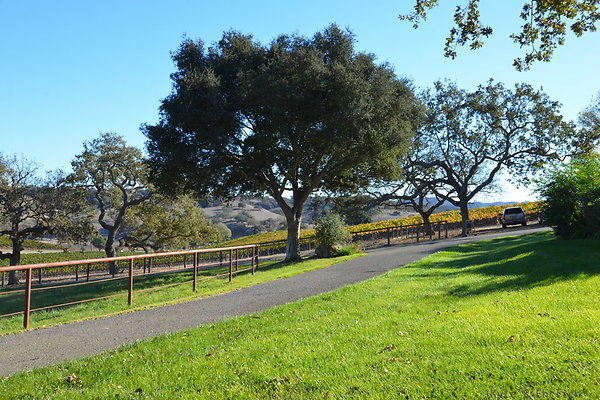 DSC 0508