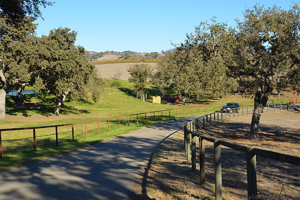 DSC 0518