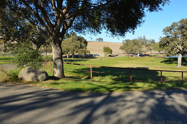 DSC 0524