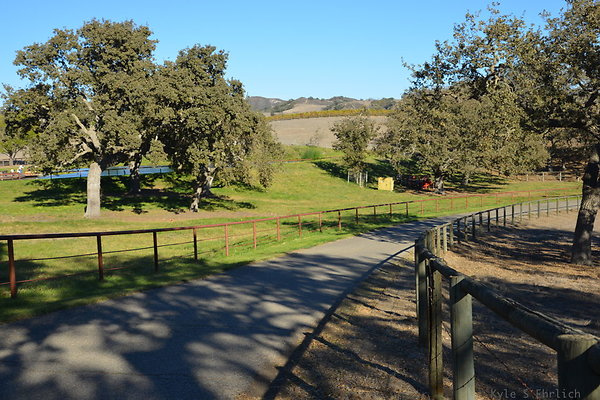DSC 0521