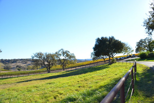 DSC 0551