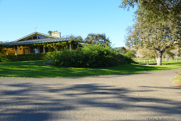 DSC 0523