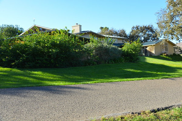DSC 0535