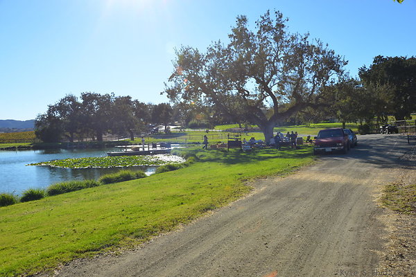 DSC 0335
