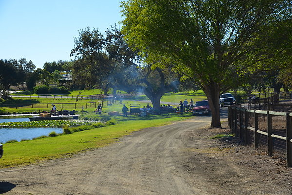 DSC 0265