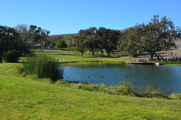 DSC 0307