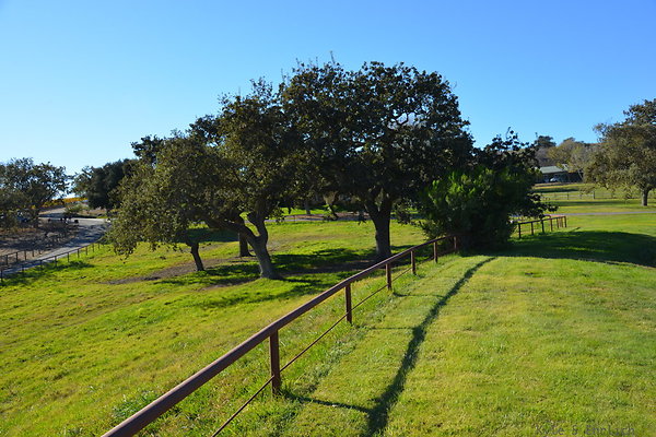 DSC 0317