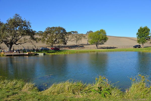 DSC 0319