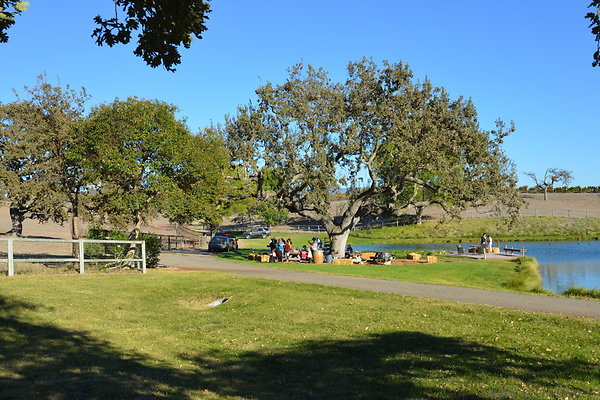 DSC 0420