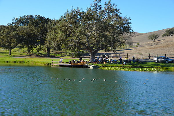 DSC 0321