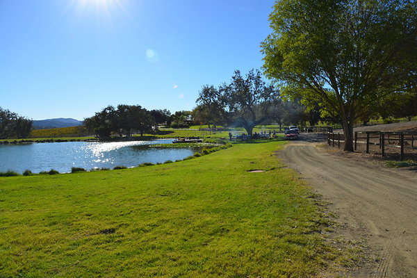 DSC 0245