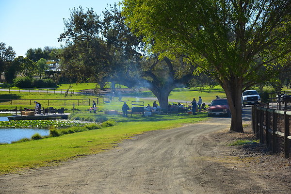 DSC 0264