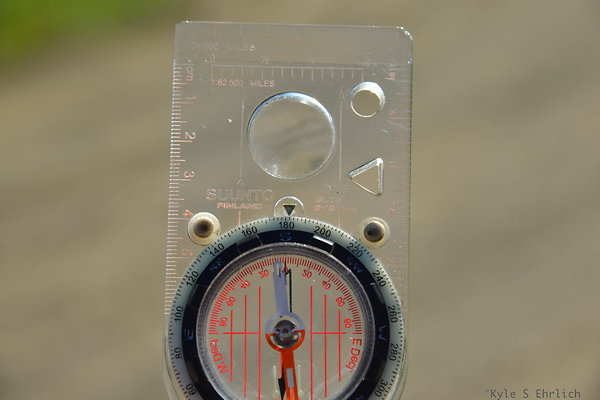 DSC 0230