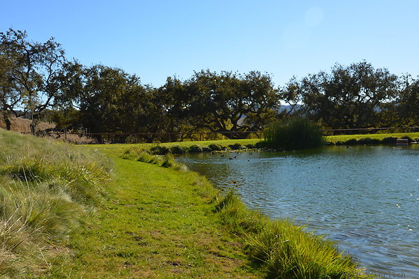 DSC 0292