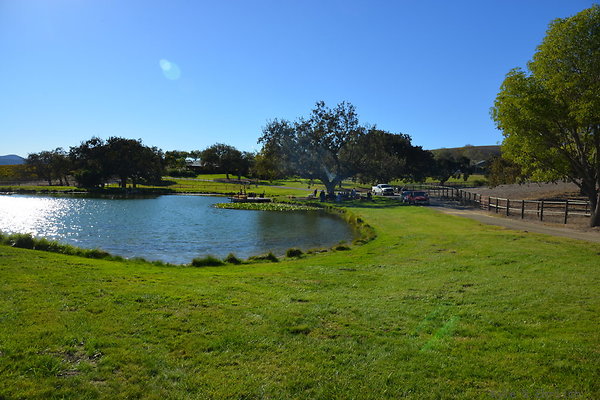 DSC 0272